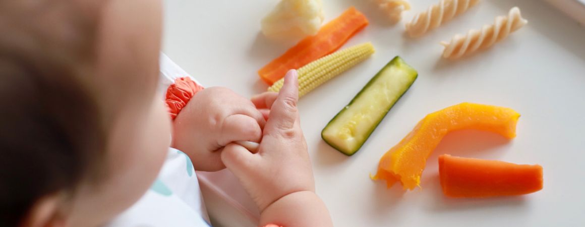 diversification-alimentaire-niort